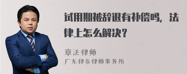 试用期被辞退有补偿吗，法律上怎么解决？