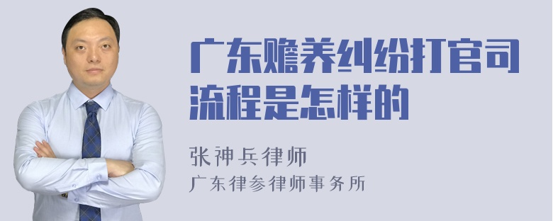 广东赡养纠纷打官司流程是怎样的