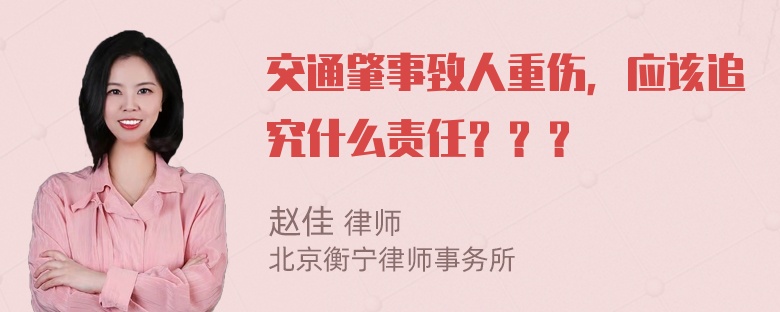 交通肇事致人重伤，应该追究什么责任？？？