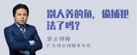 别人养的鱼，偷捕犯法了吗？