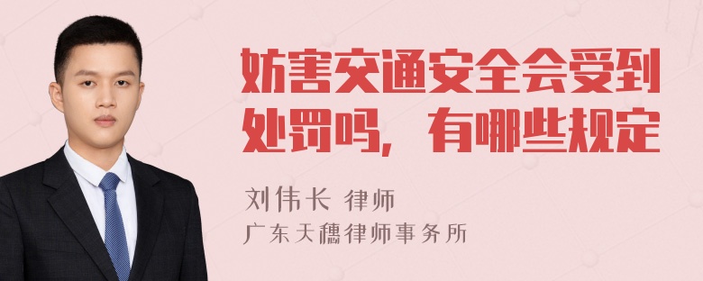 妨害交通安全会受到处罚吗，有哪些规定