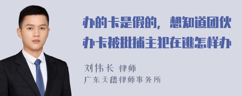 办的卡是假的，想知道团伙办卡被批捕主犯在逃怎样办