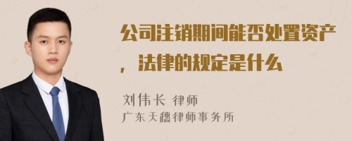 公司注销期间能否处置资产，法律的规定是什么