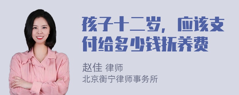 孩子十二岁，应该支付给多少钱抚养费