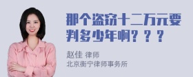 那个盗窃十二万元要判多少年啊？？？