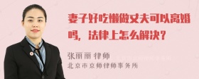 妻子好吃懒做丈夫可以离婚吗，法律上怎么解决？