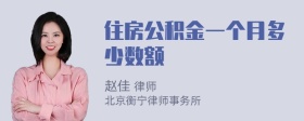 住房公积金一个月多少数额