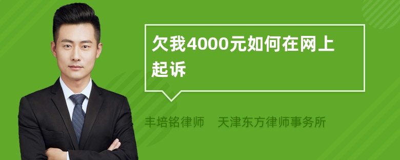 欠我4000元如何在网上起诉