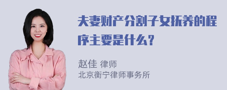 夫妻财产分割子女抚养的程序主要是什么？