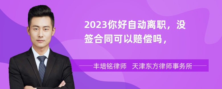 2023你好自动离职，没签合同可以赔偿吗，