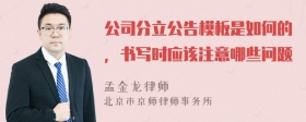 公司分立公告模板是如何的，书写时应该注意哪些问题