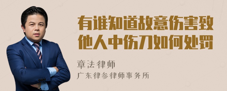 有谁知道故意伤害致他人中伤刀如何处罚