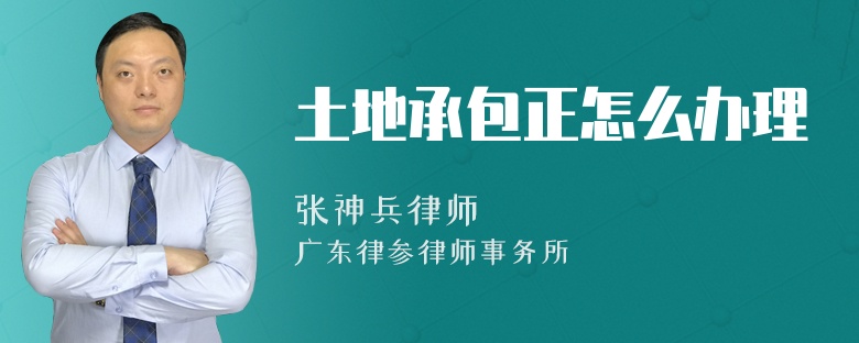 土地承包正怎么办理
