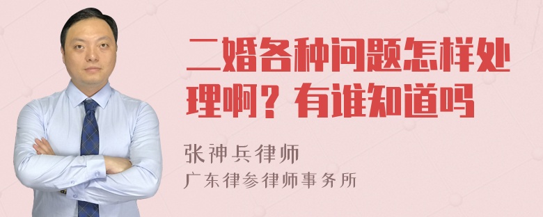 二婚各种问题怎样处理啊？有谁知道吗