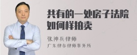 共有的一处房子法院如何样拍卖