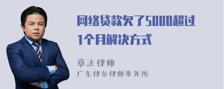 网络贷款欠了5000超过1个月解决方式