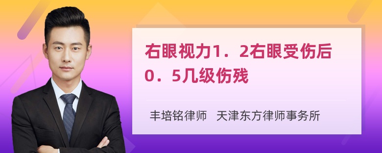 右眼视力1．2右眼受伤后0．5几级伤残