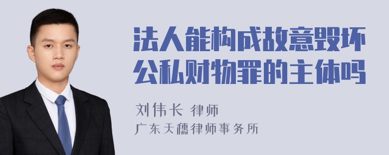 法人能构成故意毁坏公私财物罪的主体吗