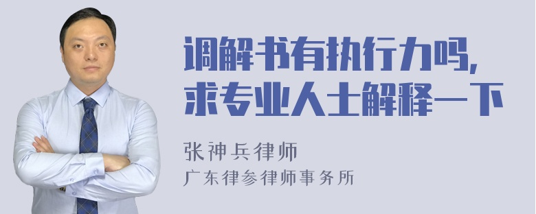 调解书有执行力吗，求专业人士解释一下