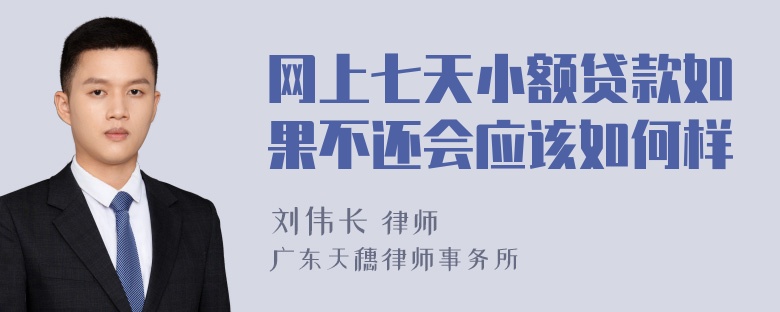 网上七天小额贷款如果不还会应该如何样