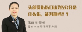 头部受伤伤口达到5公分是什么伤，能判刑吗？？