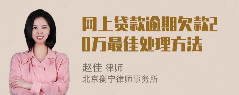 网上贷款逾期欠款20万最佳处理方法