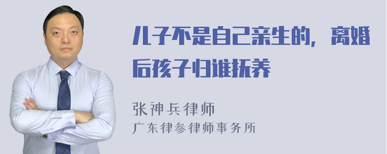 儿子不是自己亲生的，离婚后孩子归谁抚养