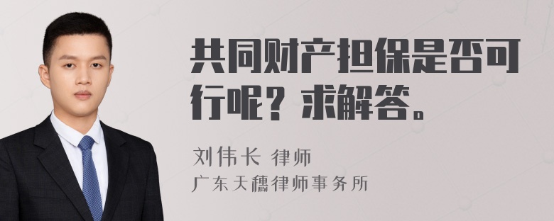 共同财产担保是否可行呢？求解答。