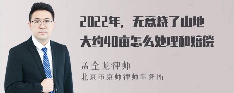 2022年，无意烧了山地大约40亩怎么处理和赔偿