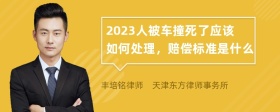 2023人被车撞死了应该如何处理，赔偿标准是什么