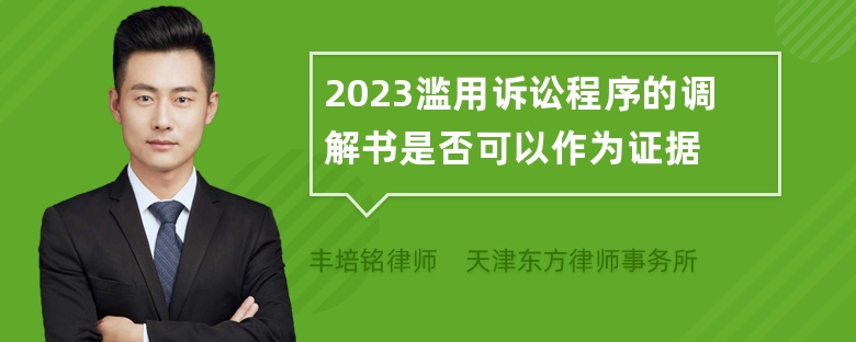 2023滥用诉讼程序的调解书是否可以作为证据