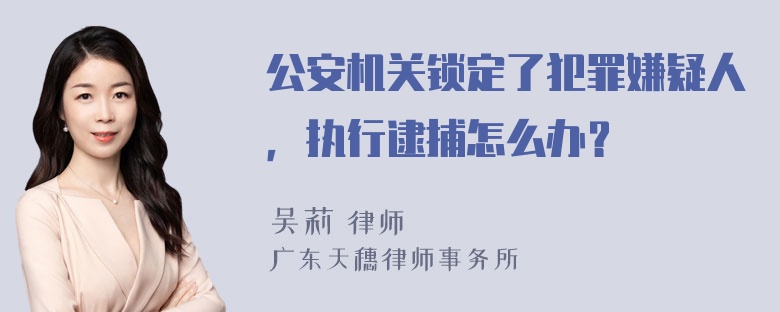 公安机关锁定了犯罪嫌疑人，执行逮捕怎么办？