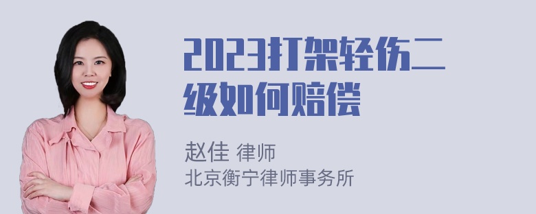 2023打架轻伤二级如何赔偿