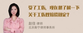 受了工伤，现在想了解一下关于工伤双赔偿规定？