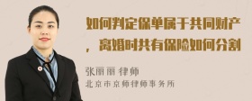 如何判定保单属于共同财产，离婚时共有保险如何分割