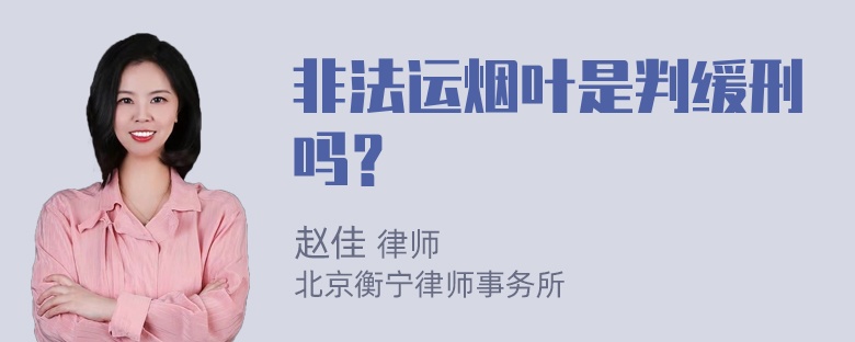 非法运烟叶是判缓刑吗？