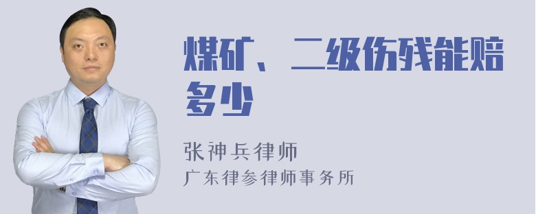 煤矿、二级伤残能赔多少