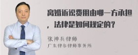 离婚诉讼费用由哪一方承担，法律是如何规定的？