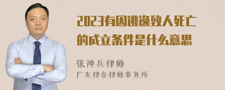 2023有因逃逸致人死亡的成立条件是什么意思