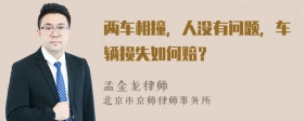 两车相撞，人没有问题，车辆损失如何赔？