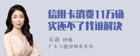 信用卡消费11万确实还不了找谁解决