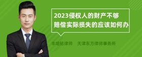 2023侵权人的财产不够赔偿实际损失的应该如何办