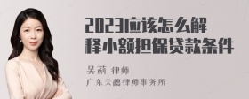 2023应该怎么解释小额担保贷款条件