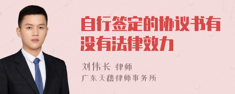自行签定的协议书有没有法律效力