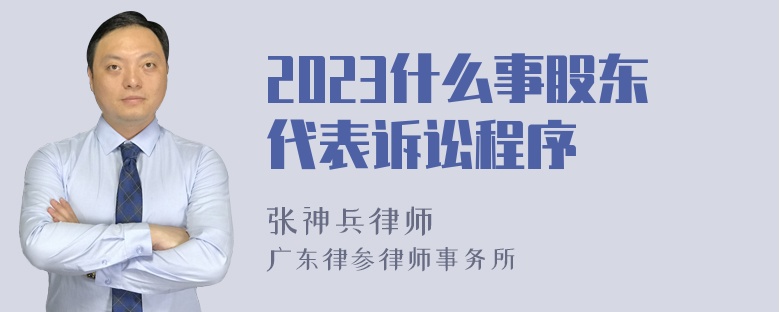 2023什么事股东代表诉讼程序