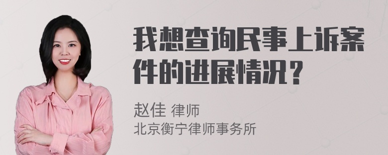 我想查询民事上诉案件的进展情况？