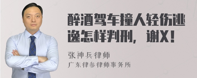 醉酒驾车撞人轻伤逃逸怎样判刑，谢X！