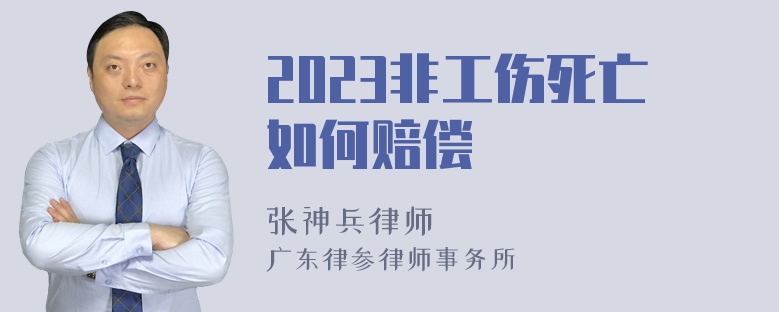 2023非工伤死亡如何赔偿