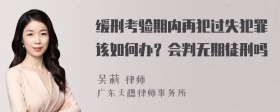 缓刑考验期内再犯过失犯罪该如何办？会判无期徒刑吗