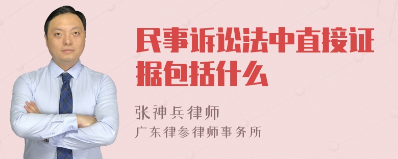 民事诉讼法中直接证据包括什么